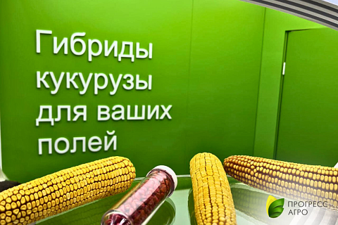 «Семеноводство Кубани» увеличит выпуск семян
